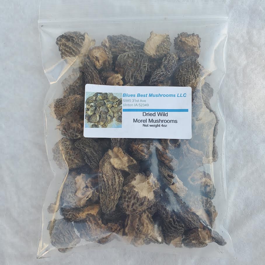 4 Ounces Dried Wild Morel Mushrooms