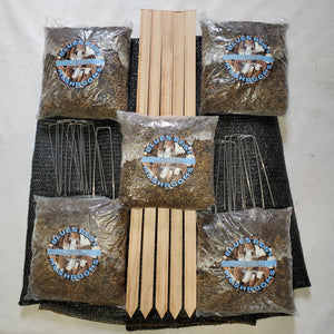 Morel Growing Kit 10 Pack with 2 FREE Protection Packages!!!
