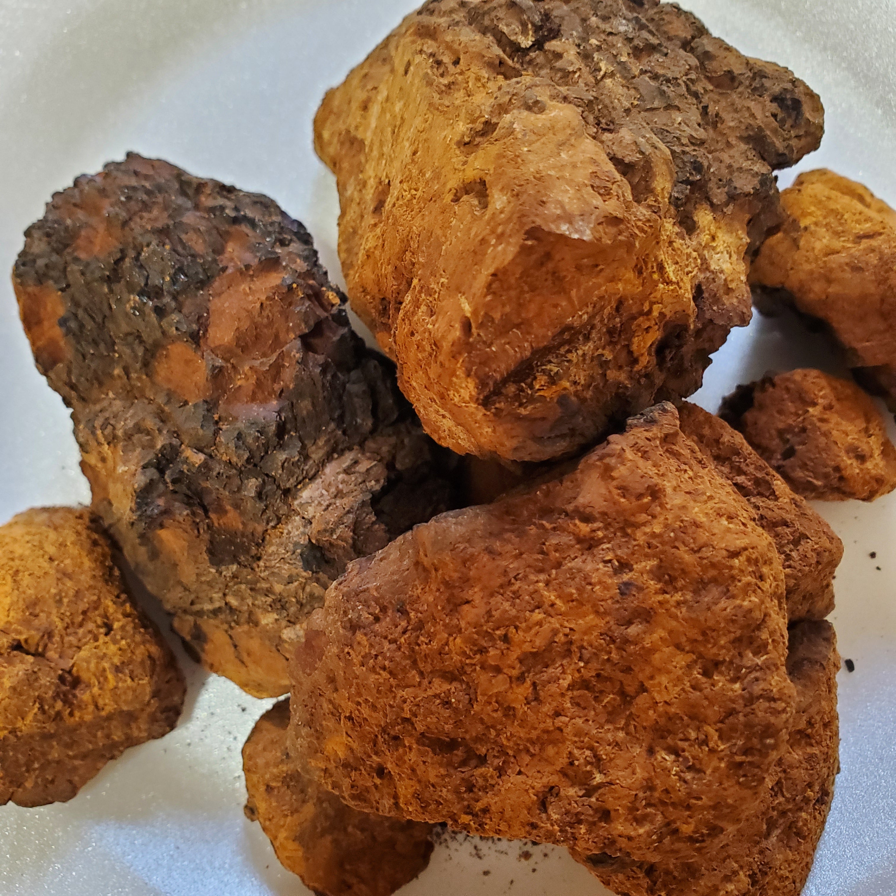 4 Ounce Dried Chaga Mushrooms
