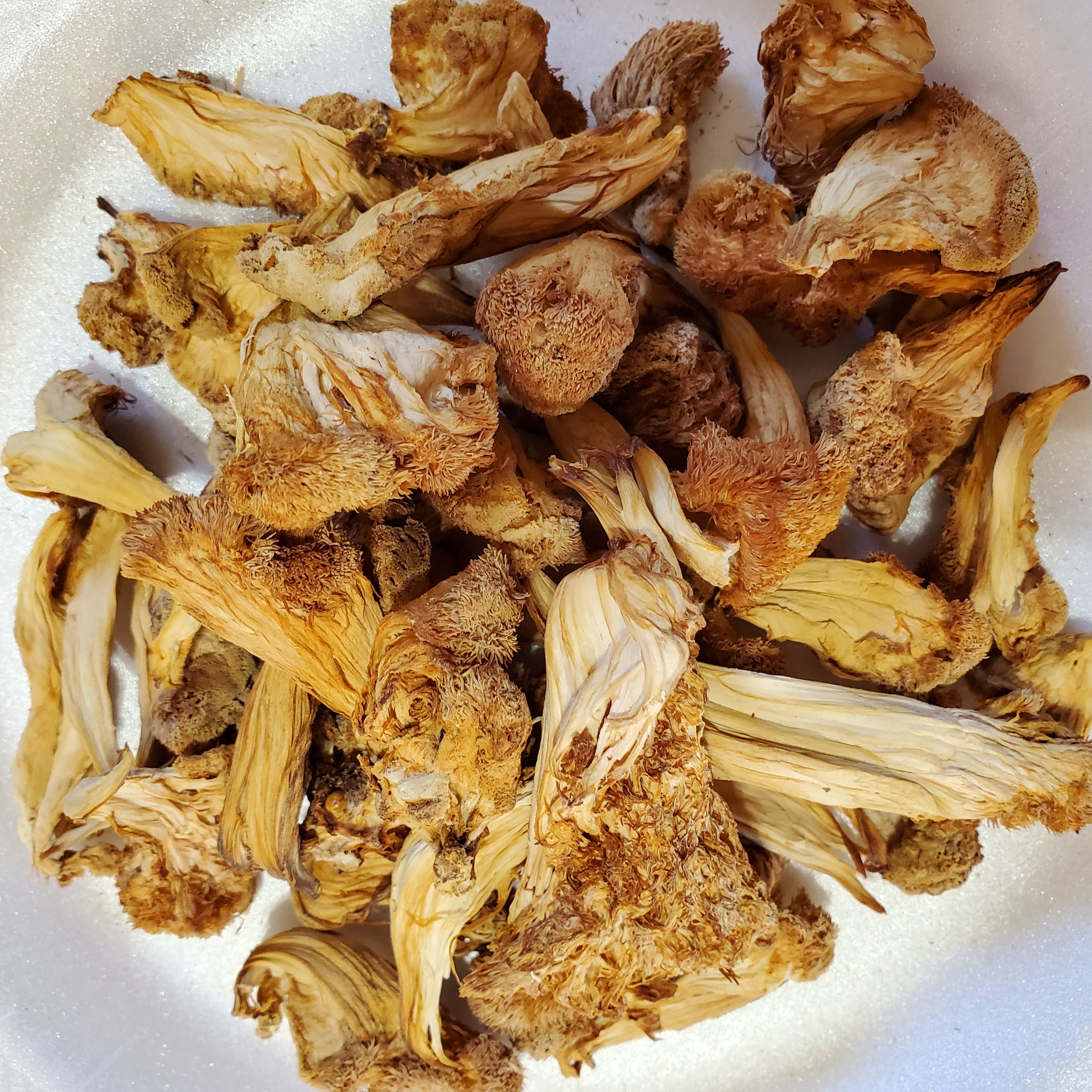 4 Ounce Dried Organic Lion's Maine Mushrooms (Pom Pom)
